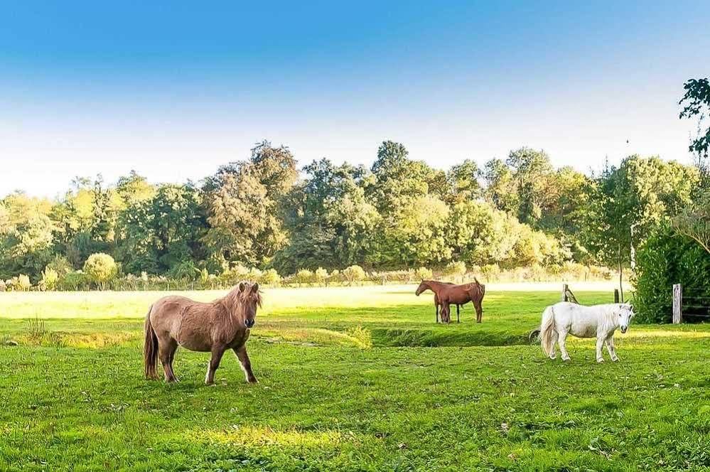 Le Clos Des Vignes Neuville-Bosc Exteriér fotografie